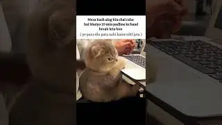 padhai #meme #catshorts #trandingmeme #padhai #viralshorts