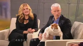 Dr. Stekettee's Tips for Owners with Overweight Pets