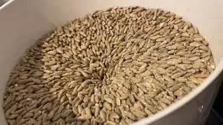 Making Rye Flour &mdash; Using the Ankarsrum Grain Mill