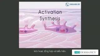 C&aacute;ch thức hoạt động của tế b&agrave;o da qua ph&acirc;n t&iacute;ch chuy&ecirc;n gia MD Dermatics