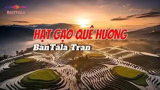 HẠT GẠO QUÊ HƯƠNG | Rock Ballad Cảm Động Về Người Nông Dân & Đất Mẹ Việt Nam | Video 4k