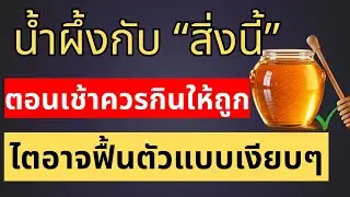 กินน้ำผึ้งแบบนี้ ไตอาจค่อยๆอ่อนวัยลงแบบเงียบๆจริงหรือ ความลับของน้ำผึ้งหนึ่งช้อน