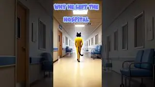 AI generated cat video   #aicat