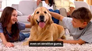 RADIUS USDA Organic Canine Pet Toothpaste 1 Unit, 3 oz, Non Toxic Toothpaste for Dogs, Designed