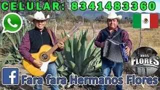 polkas norteñas para bailar mix conjunto en vivo