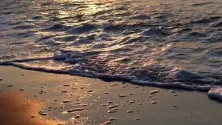 Evening Sea waves Relaxing Music (மாலை கடல் அலைகள் மற்றும் நிதானமான இசை)