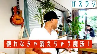 8/14『ガズラジ』使わなきゃ消えちゃう魔法！〜息子・奥田民生〜歌った #ガズラジ #ガズレレ #ウクレレ