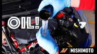 OIL IN THE CAN! | FIESTA ST | MISHIMOTO