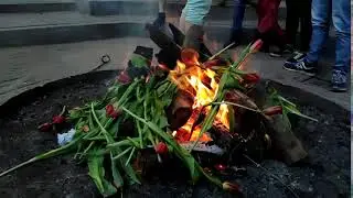 Xiaomi Mi 9 SE Slowmotion 960fps video | Tulips in the fire