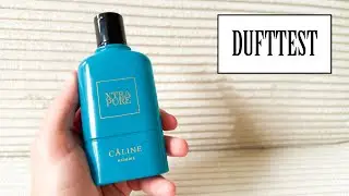 Caline Homme - Xtra Pure | Eau de Toilette | DUFTTEST