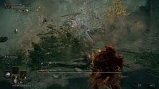 ELDEN RING Hunting