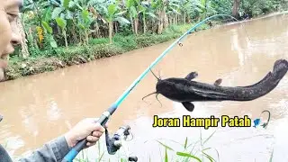 REJEKI‼️MANCING DAPAT IKAN LELE SAAT BANJIR (mancing liar jakarta)