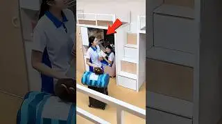 Она построила целую комнату внутри своей кровати в хостеле 😱