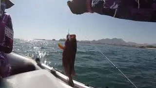 Solar Marine Inflatable Boat Fishing Adventure 31.10.2020