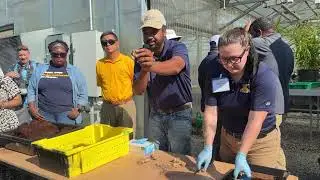 Ginger Production Field Day With William Lashley