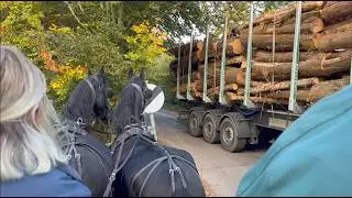 &laquo;Тихие&raquo; сельские улочки и четырёхполосные кольцевые развязки &mdash; с матерью и дочерью, парой фризов ...