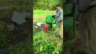 The latest innovation in easy-to-use peanut thresher machines #shorts