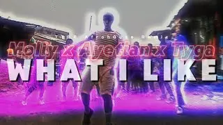 Moliy x Ayetian x Tyga - What I Like (TTRR REMIX) (AFROHOUSE) (CLEAN)