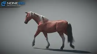 3D Horses - Walk Loop