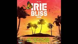 Irie Bliss Riddim