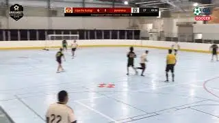 Amagansett Indoor Soccer League Sub37: Liga De Gulag vs Juventus