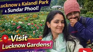 Lucknow ke Kalandi Park ke sundar phool 🌸💚#flowers #nature #love #couple