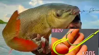 Very Simple But Very PowerFul knot Guccha Gal Fishing Techniques
