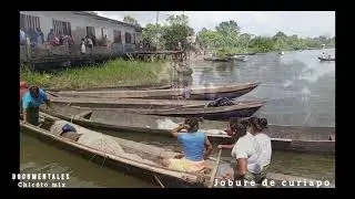 Algunas comunidades de Delta Amacuro 