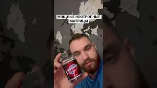 Самые сильные ноотропы из США