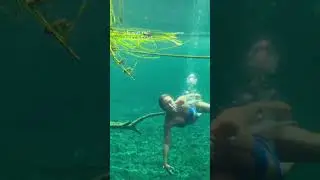 Would you swim in a jungle cenote? &hellip;
