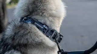 Winchester Pet Products