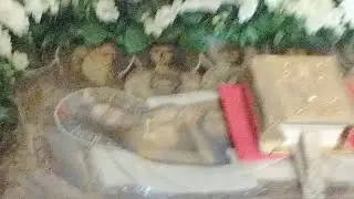 Утрення Великой Субботы 15.4.23. Прямая трансляция