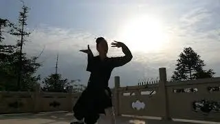 Wudang Tai ji Quan, Glimpses into Heavenly Horse 36 postures -
