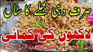 Sirf dahi bhallay ka stall aur lakhon ki kamai|Small business ideas|Food business ideas