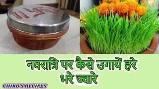 नवरात्रि पर कैसे उगायें हरे भरे ज्वारे /CHIKO'S RECIPES /