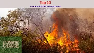 Top 10 Important Climate related terms| #climateaction #climateeducation #climatechange #climate