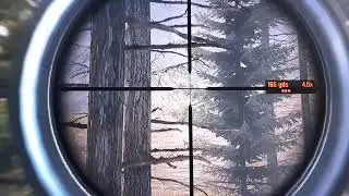 А вот еще Cabela's Big Game Hunter Pro Hunts