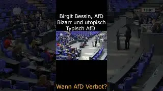 Birgit Bessin, AfD - Typischer Unsinn der AfD #deutsch #antifaschismus #afd  #faschismus #faschisten