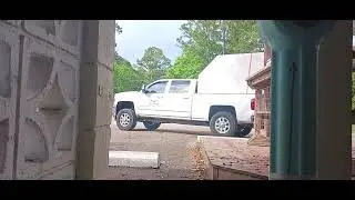 Live Crawfish Delivered to Nicks Seafood, Choctaw Beach Fl U.S.A.