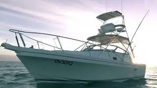 Deep V Blackwatch 310 Express