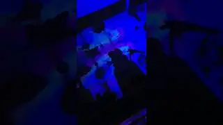 night mode🌊🐟fish sleeping #aquarium #sub