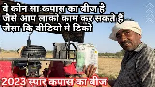 India&rsquo;s Golden Earning Method|| Rasi 926 400 gram Seed in 1 Bigha average 20 quintals Earning 160000