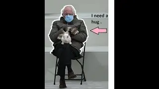 TOP 40 BEST BERNIE SANDERS CAPITOL MEMES in 3 Minutes