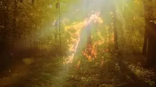 Parallel Worlds & Self Oscillate - Peeled Branches
