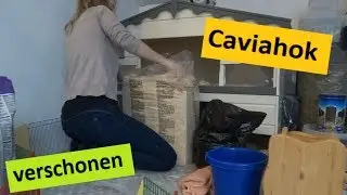 Caviahok verschonen