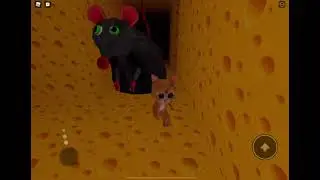 El gato cheese rt