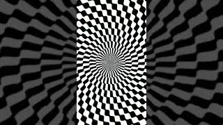 THE BEST OPTICAL ILLUSION- MELTING PICTURE!