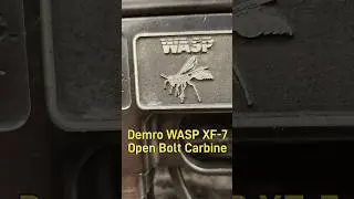 The Demro WASP XF-7 Carbine was designed by GerryFox in the 1970s.