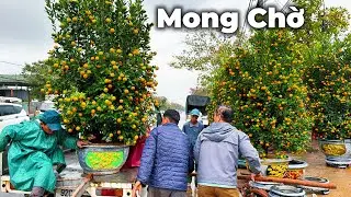 Làng Quật Hội An – Mong chờ giáp Tết sau một năm lũ lụt
