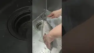 Скребок для рыбьей чешуи (нержавеющая сталь) #рыбамолоко #лайфхаки #скребокдлярыбьейчешуи #шорты #кухонныелайфхаки